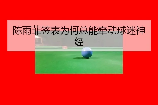 chen-yu-fei-qian-biao-wei-he-zong-neng-qian-dong-qiu-mi-shen-jing-2-553.jpg